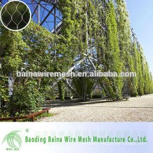 2015 New Arrival Flexible SS plants climbing nets